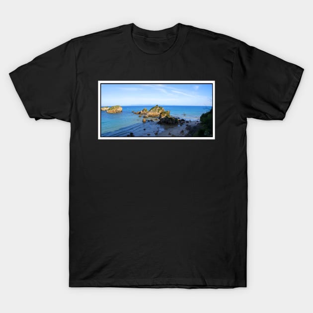 Coastal Panorama T-Shirt by mjohmy